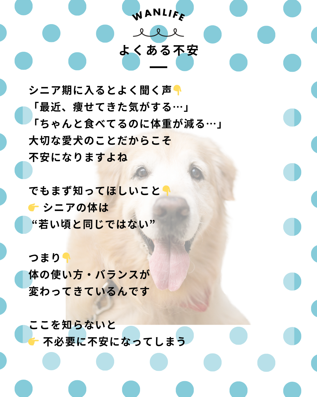 わんわん整体WanLife|愛知・岐阜の犬の整体・メディセル筋膜リリース・オベロンアニマルスキャン・ネオヒーラー・温灸・食事療法|