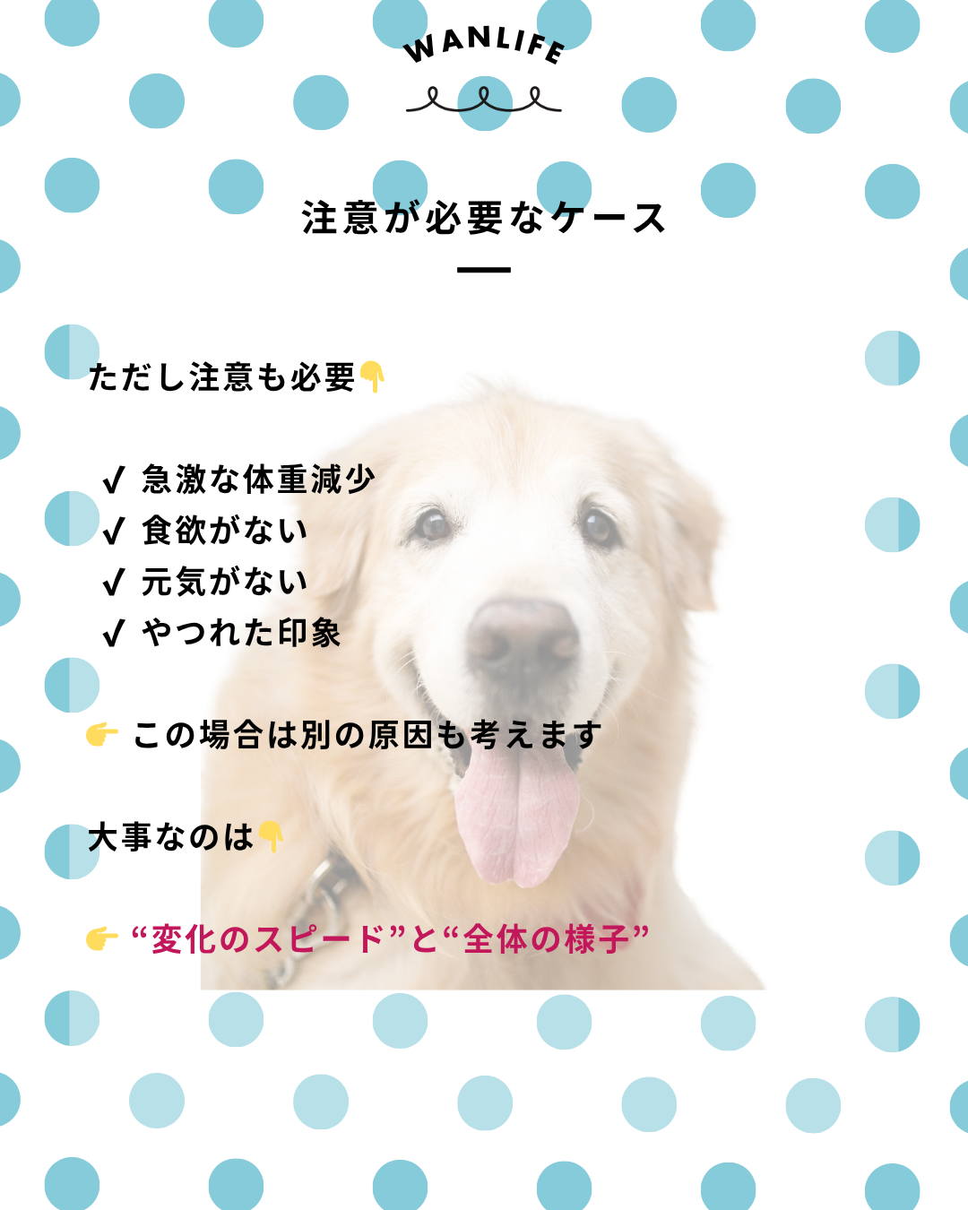 わんわん整体WanLife|愛知・岐阜の犬の整体・メディセル筋膜リリース・オベロンアニマルスキャン・ネオヒーラー・温灸・食事療法|