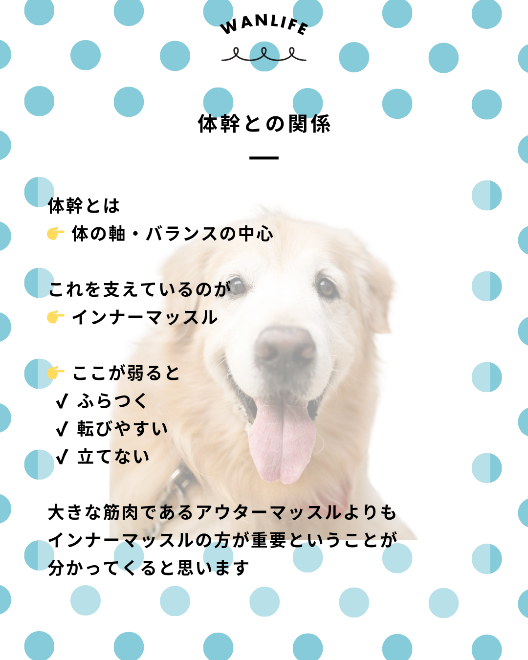 わんわん整体WanLife｜愛知・岐阜の犬の整体・メディセル筋膜リリース・オベロンアニマルスキャン・ネオヒーラー・温灸・食事療法｜
