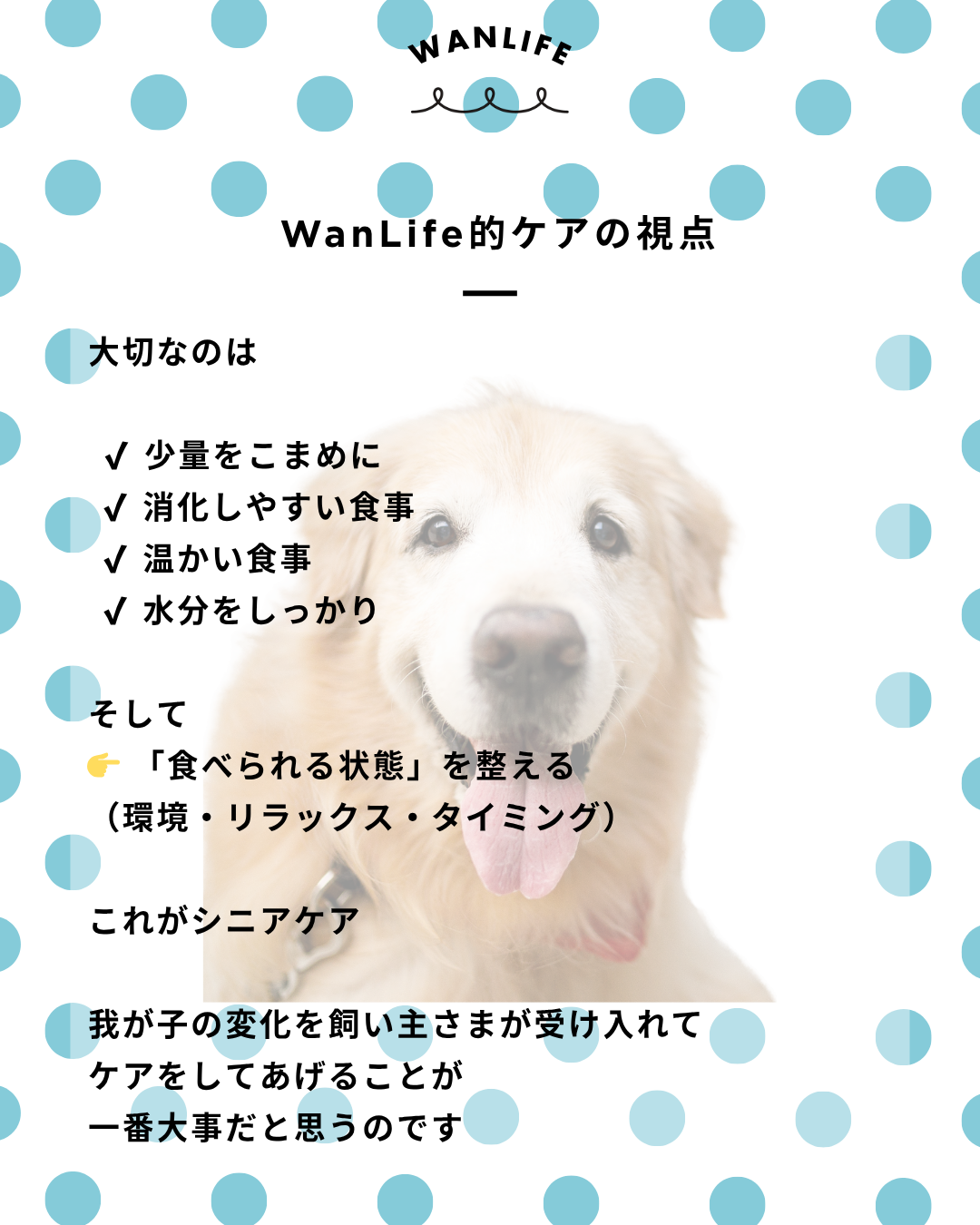 わんわん整体WanLife｜愛知・岐阜の犬の整体・メディセル筋膜リリース・オベロンアニマルスキャン・ネオヒーラー・温灸・食事療法｜