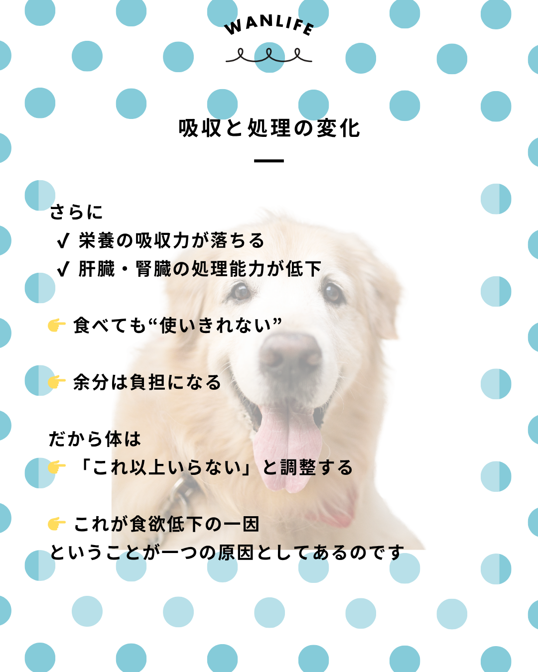 わんわん整体WanLife｜愛知・岐阜の犬の整体・メディセル筋膜リリース・オベロンアニマルスキャン・ネオヒーラー・温灸・食事療法｜