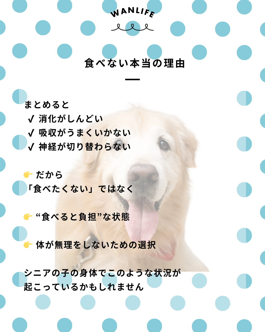 わんわん整体WanLife｜愛知・岐阜の犬の整体・メディセル筋膜リリース・オベロンアニマルスキャン・ネオヒーラー・温灸・食事療法｜