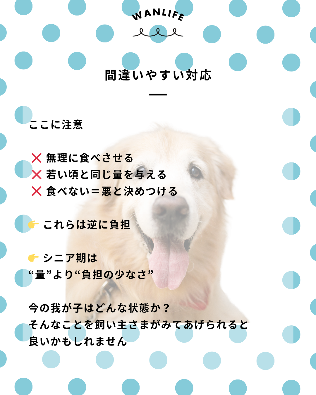 わんわん整体WanLife｜愛知・岐阜の犬の整体・メディセル筋膜リリース・オベロンアニマルスキャン・ネオヒーラー・温灸・食事療法｜