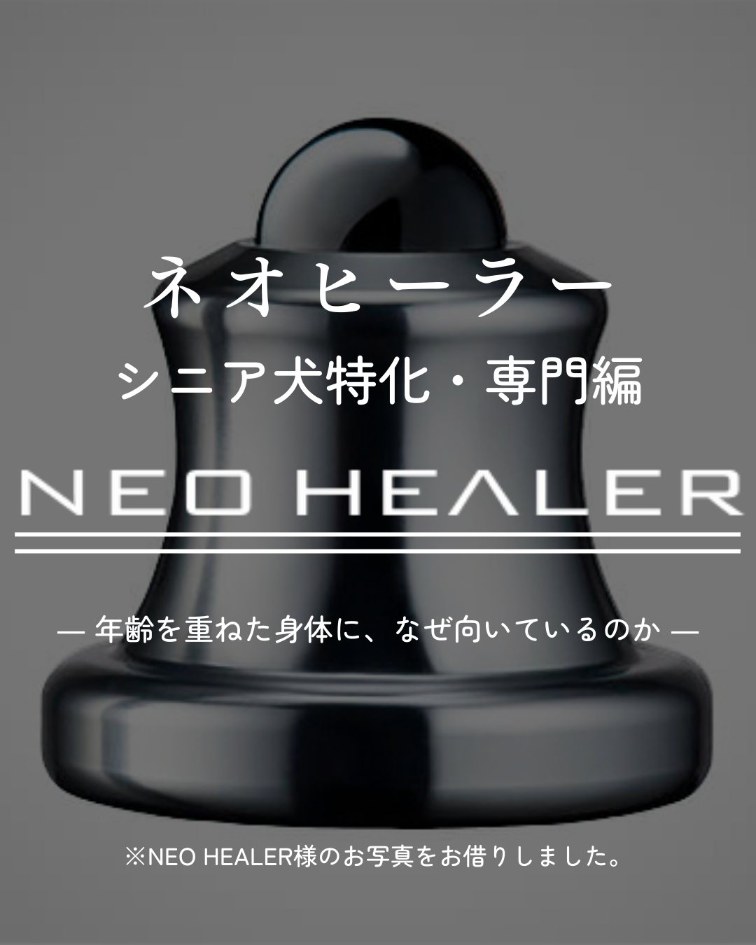 わんわん整体WanLife｜愛知・岐阜の犬の整体・メディセル筋膜リリース・オベロンアニマルスキャン・ネオヒーラー・歩けるくん・温灸・食事療法｜