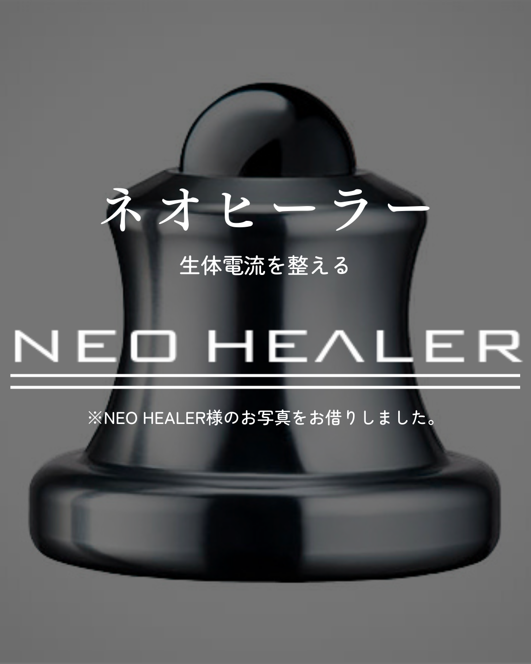 わんわん整体WanLife｜愛知・岐阜の犬の整体・メディセル筋膜リリース・オベロンアニマルスキャン・ネオヒーラー・歩けるくん・温灸・食事療法｜