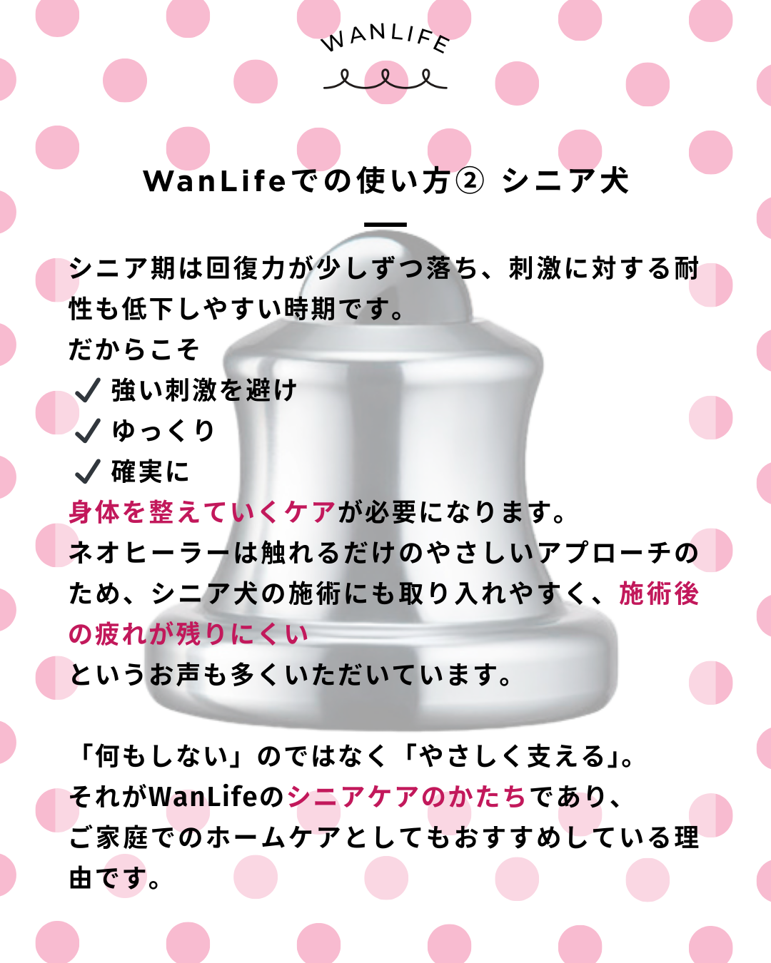 わんわん整体WanLife｜愛知・岐阜の犬の整体・メディセル筋膜リリース・オベロンアニマルスキャン・ネオヒーラー・歩けるくん・温灸・食事療法｜