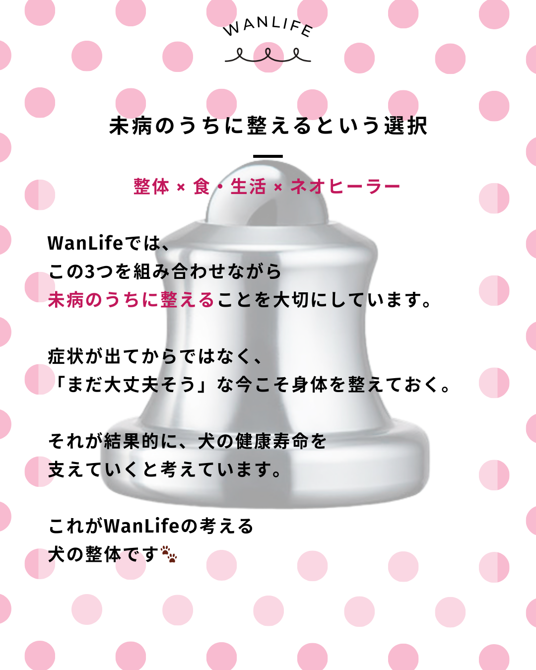 わんわん整体WanLife｜愛知・岐阜の犬の整体・メディセル筋膜リリース・オベロンアニマルスキャン・ネオヒーラー・歩けるくん・温灸・食事療法｜