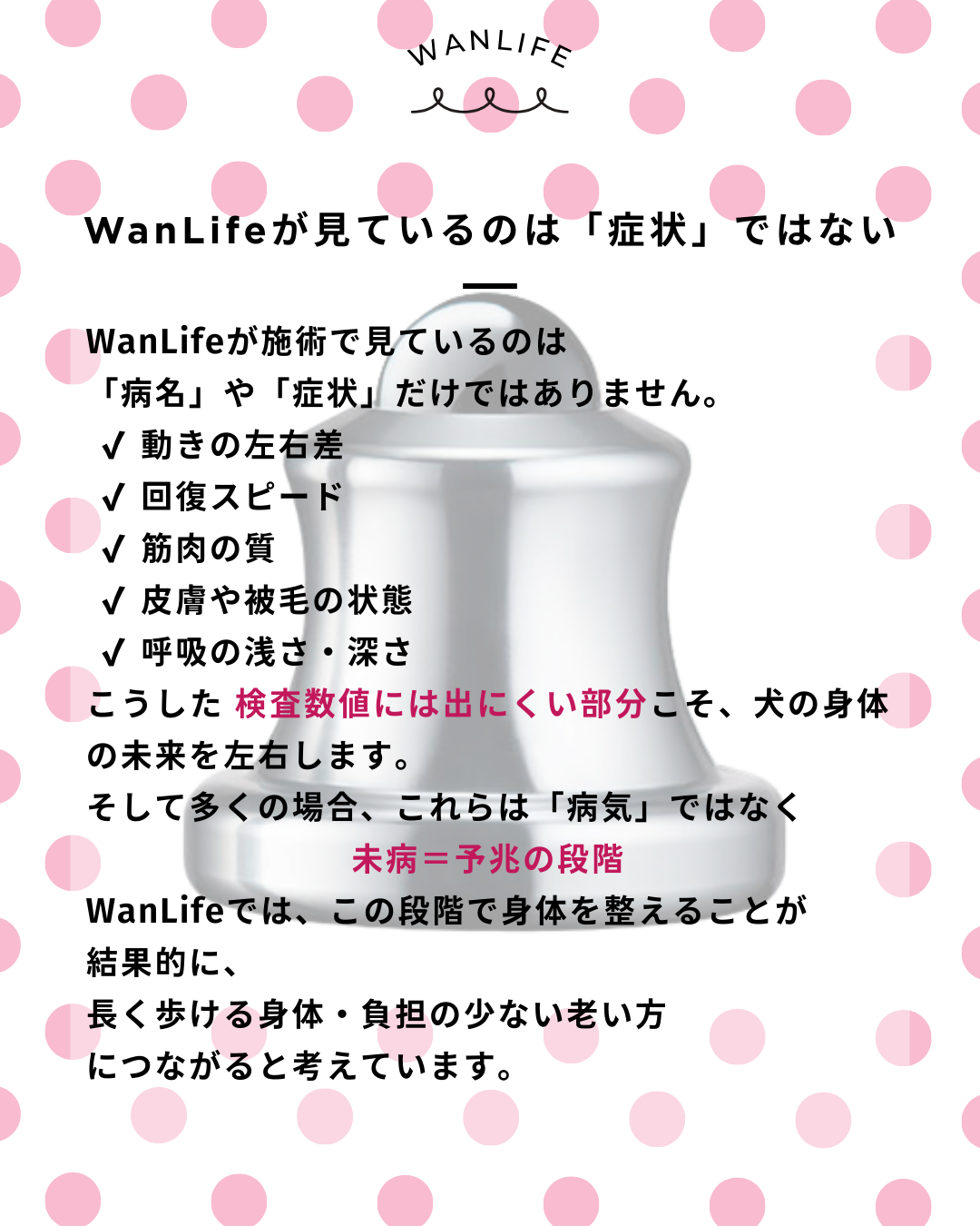 わんわん整体WanLife｜愛知・岐阜の犬の整体・メディセル筋膜リリース・オベロンアニマルスキャン・ネオヒーラー・歩けるくん・温灸・食事療法｜