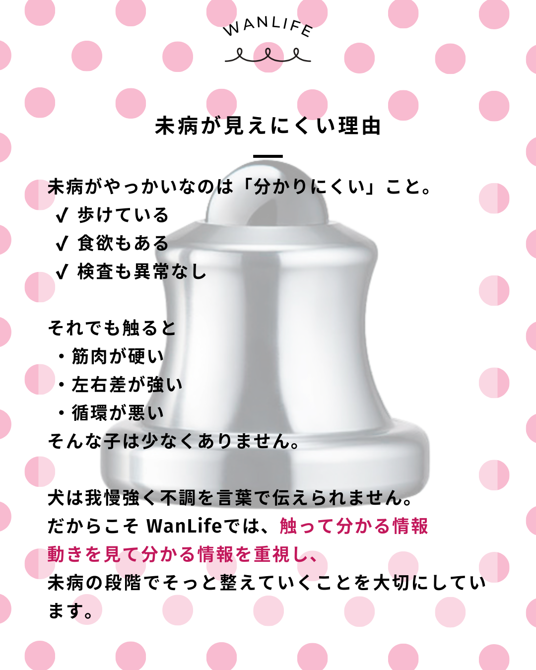 わんわん整体WanLife｜愛知・岐阜の犬の整体・メディセル筋膜リリース・オベロンアニマルスキャン・ネオヒーラー・歩けるくん・温灸・食事療法｜