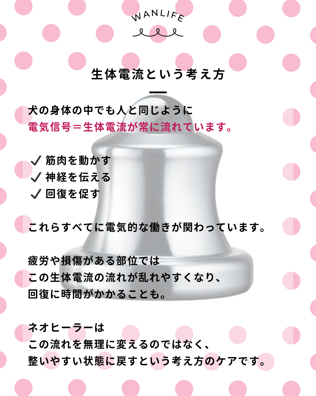 わんわん整体WanLife｜愛知・岐阜の犬の整体・メディセル筋膜リリース・オベロンアニマルスキャン・ネオヒーラー・歩けるくん・温灸・食事療法｜