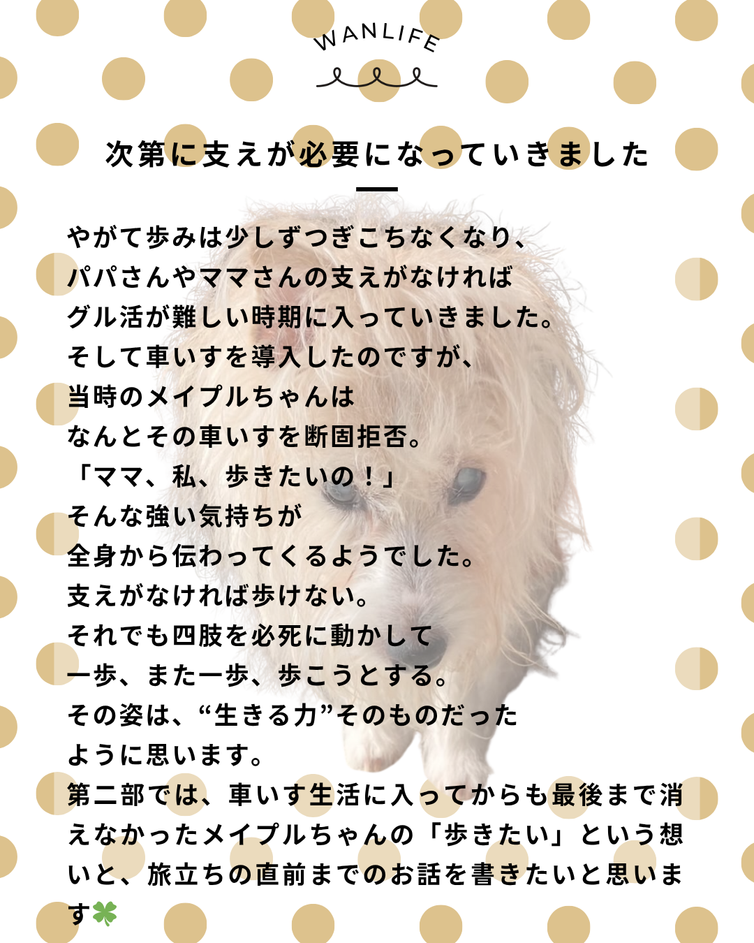 わんわん整体WanLife|愛知・岐阜の犬の整体・メディセル筋膜リリース・オベロンアニマルスキャン・ネオヒーラー・温灸・食事療法|