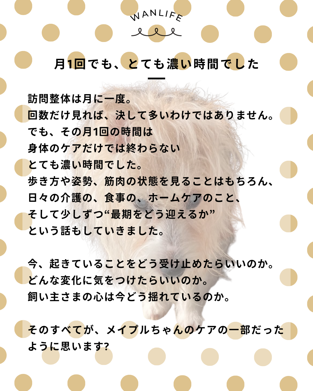 わんわん整体WanLife|愛知・岐阜の犬の整体・メディセル筋膜リリース・オベロンアニマルスキャン・ネオヒーラー・温灸・食事療法|