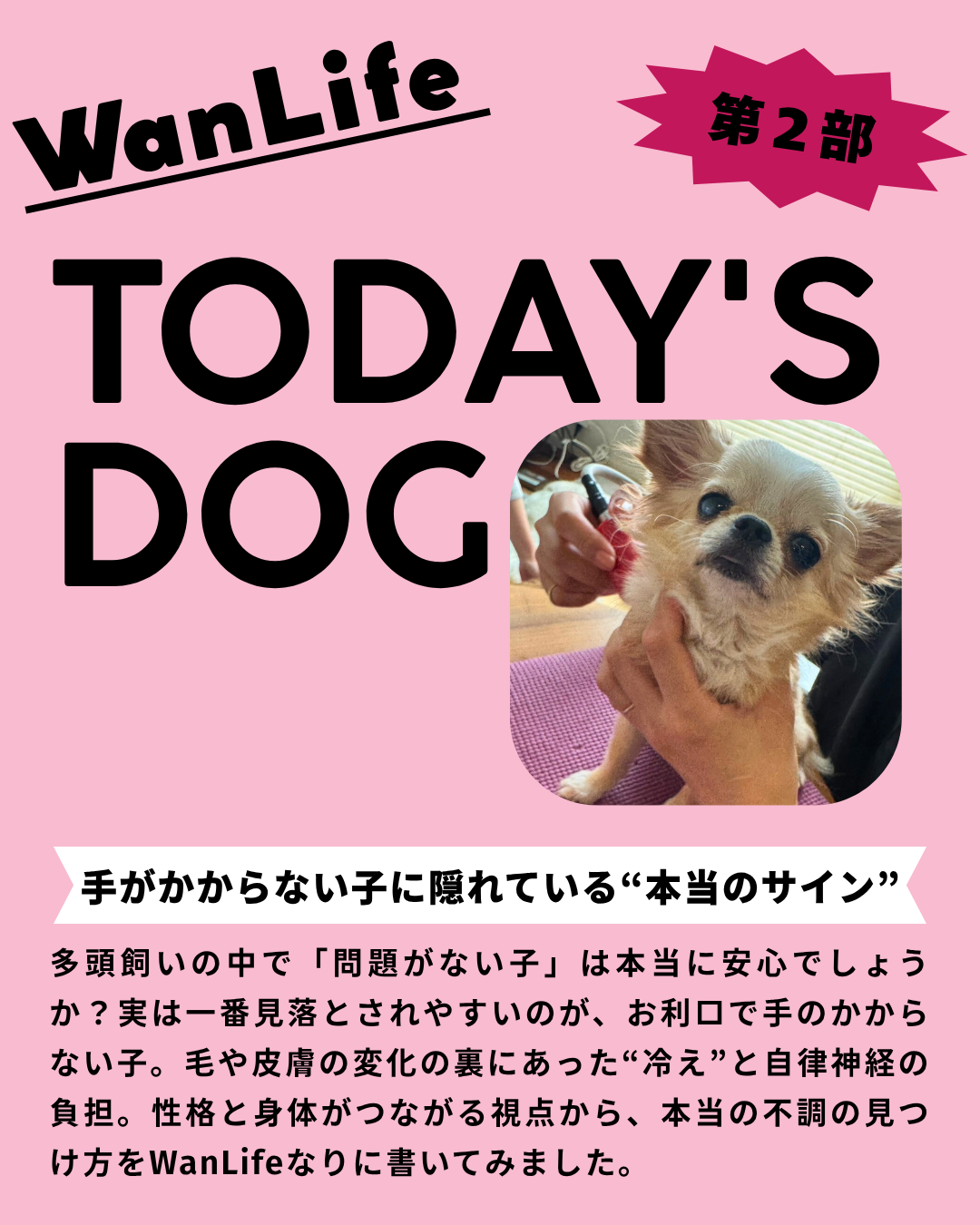 わんわん整体WanLife｜愛知・岐阜の犬の整体・メディセル筋膜リリース・オベロンアニマルスキャン・ネオヒーラー・温灸・食事療法｜