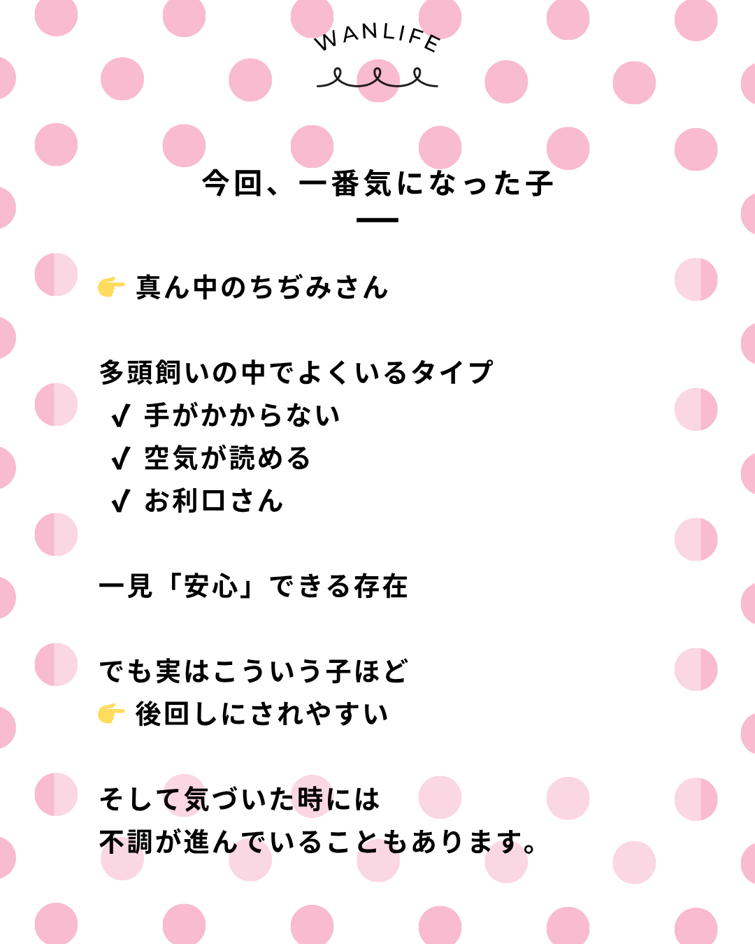 わんわん整体WanLife｜愛知・岐阜の犬の整体・メディセル筋膜リリース・オベロンアニマルスキャン・ネオヒーラー・温灸・食事療法｜