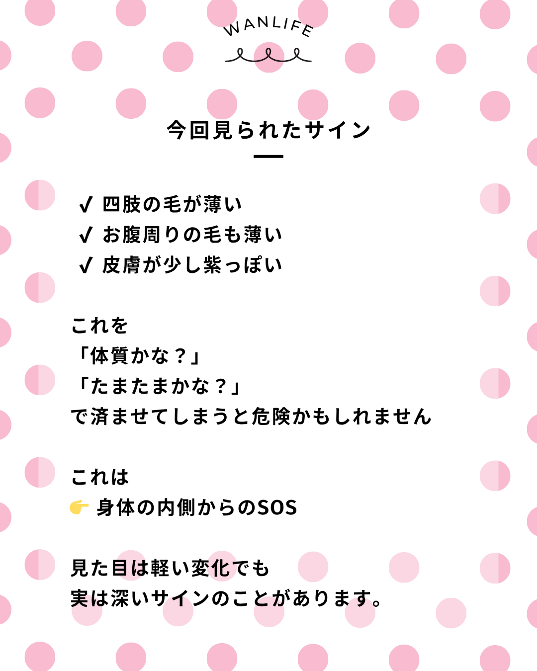 わんわん整体WanLife｜愛知・岐阜の犬の整体・メディセル筋膜リリース・オベロンアニマルスキャン・ネオヒーラー・温灸・食事療法｜