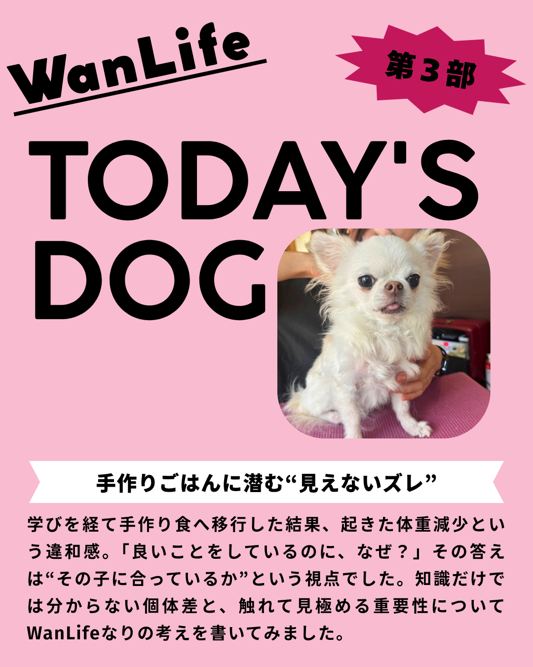 わんわん整体WanLife｜愛知・岐阜の犬の整体・メディセル筋膜リリース・オベロンアニマルスキャン・ネオヒーラー・温灸・食事療法｜