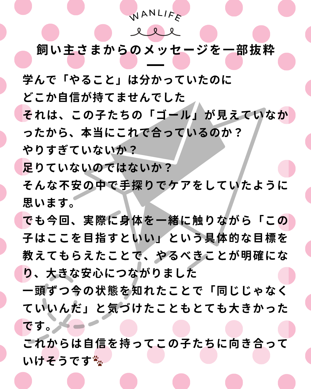 わんわん整体WanLife|愛知・岐阜の犬の整体・メディセル筋膜リリース・オベロンアニマルスキャン・ネオヒーラー・温灸・食事療法|