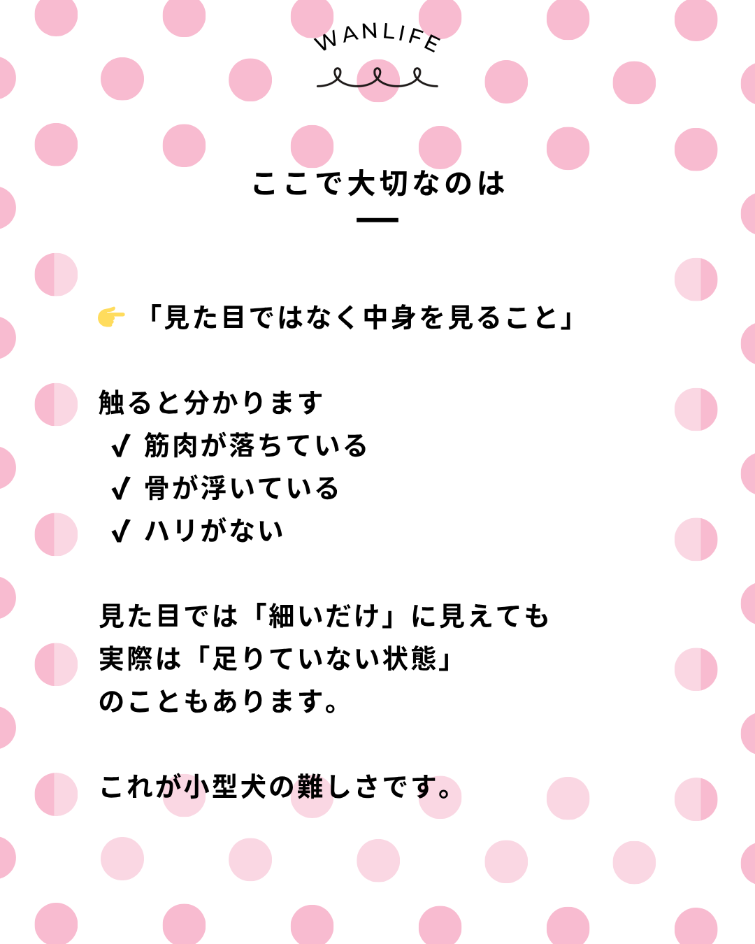 わんわん整体WanLife|愛知・岐阜の犬の整体・メディセル筋膜リリース・オベロンアニマルスキャン・ネオヒーラー・温灸・食事療法|