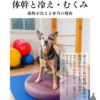 わんわん整体WanLife｜愛知・岐阜の犬の整体・メディセル筋膜リリース・歩けるくん・オベロンアニマルスキャン・ネオヒーラー・温灸・食事療法｜