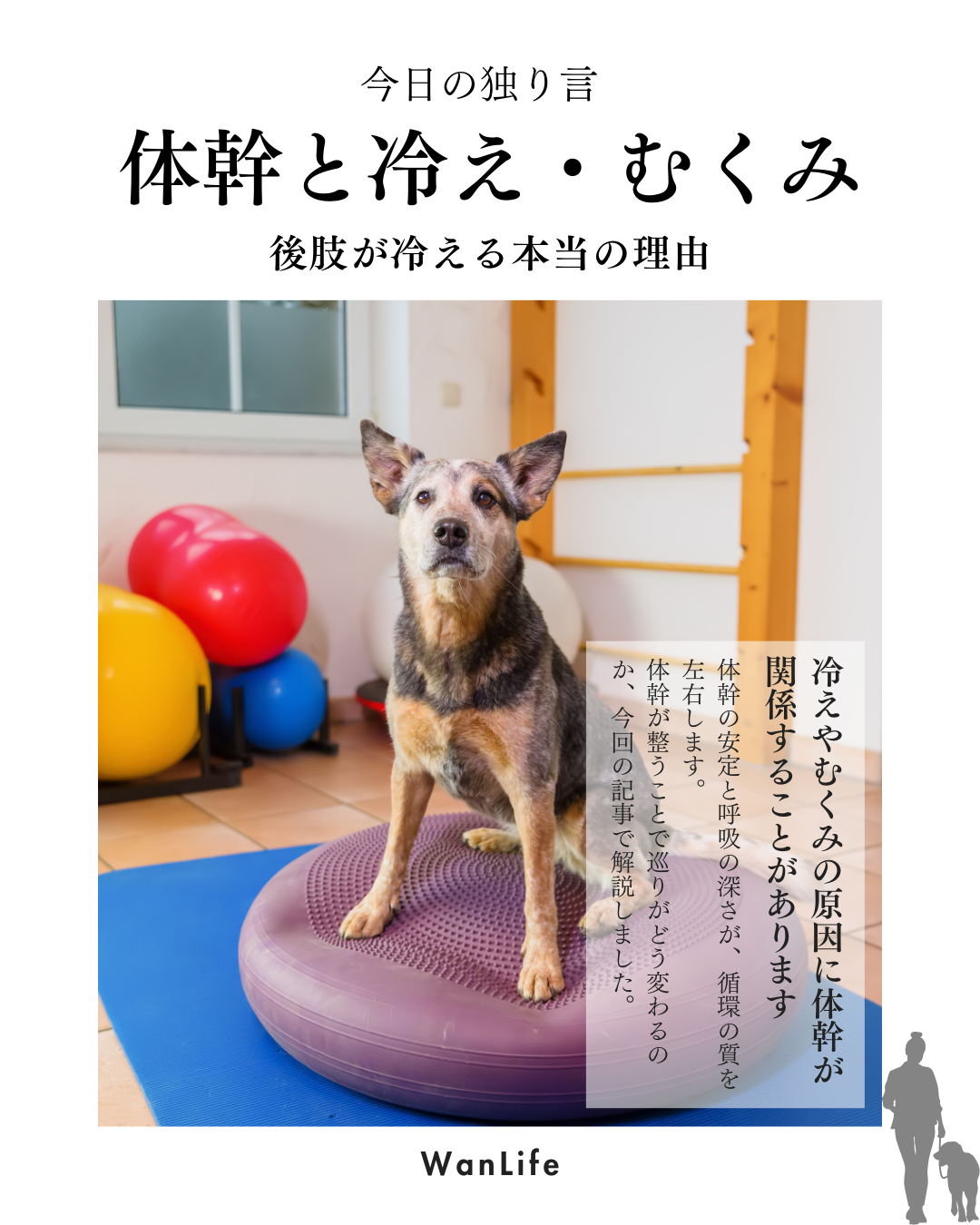 わんわん整体WanLife｜愛知・岐阜の犬の整体・メディセル筋膜リリース・歩けるくん・オベロンアニマルスキャン・ネオヒーラー・温灸・食事療法｜