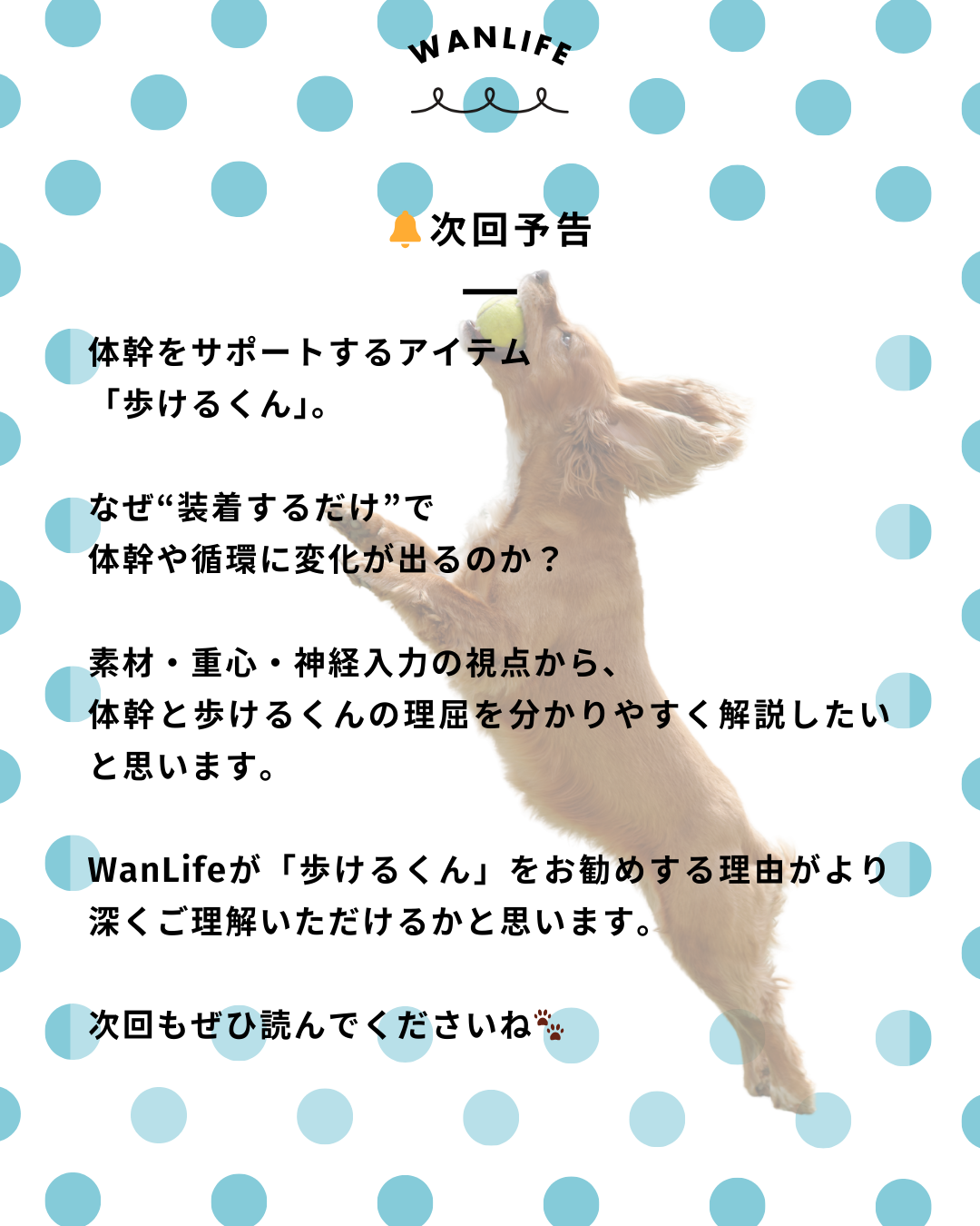 わんわん整体WanLife｜愛知・岐阜の犬の整体・メディセル筋膜リリース・歩けるくん・オベロンアニマルスキャン・ネオヒーラー・温灸・食事療法｜