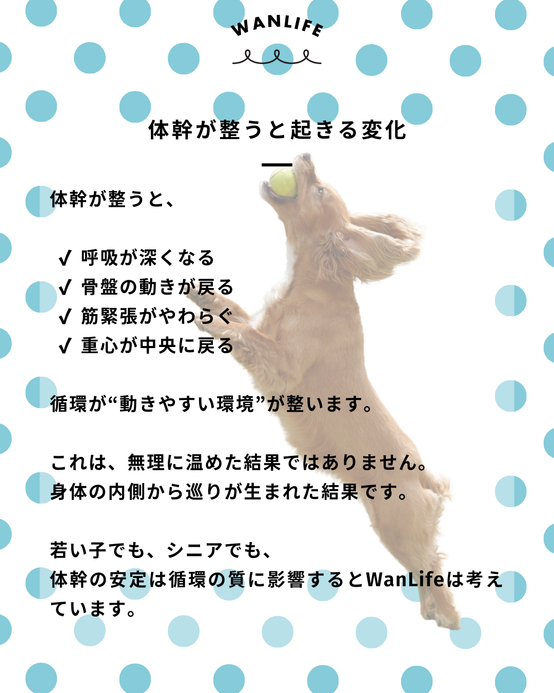 わんわん整体WanLife｜愛知・岐阜の犬の整体・メディセル筋膜リリース・歩けるくん・オベロンアニマルスキャン・ネオヒーラー・温灸・食事療法｜