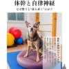 わんわん整体WanLife｜愛知・岐阜の犬の整体・メディセル筋膜リリース・歩けるくん・オベロンアニマルスキャン・ネオヒーラー・温灸・食事療法｜