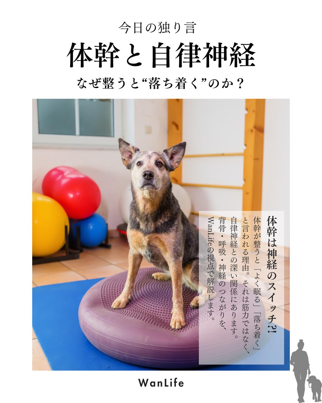 わんわん整体WanLife｜愛知・岐阜の犬の整体・メディセル筋膜リリース・歩けるくん・オベロンアニマルスキャン・ネオヒーラー・温灸・食事療法｜