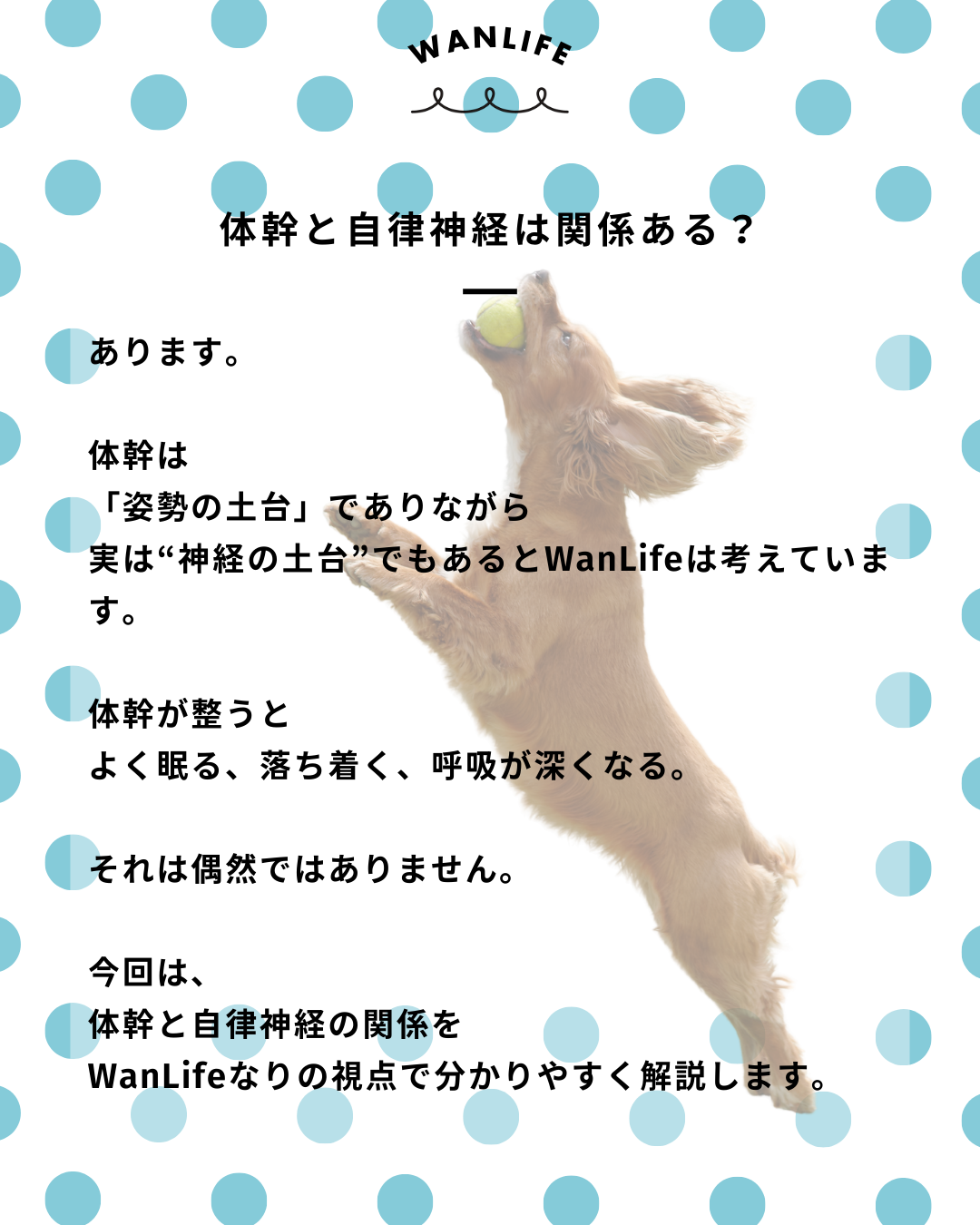 わんわん整体WanLife｜愛知・岐阜の犬の整体・メディセル筋膜リリース・歩けるくん・オベロンアニマルスキャン・ネオヒーラー・温灸・食事療法｜