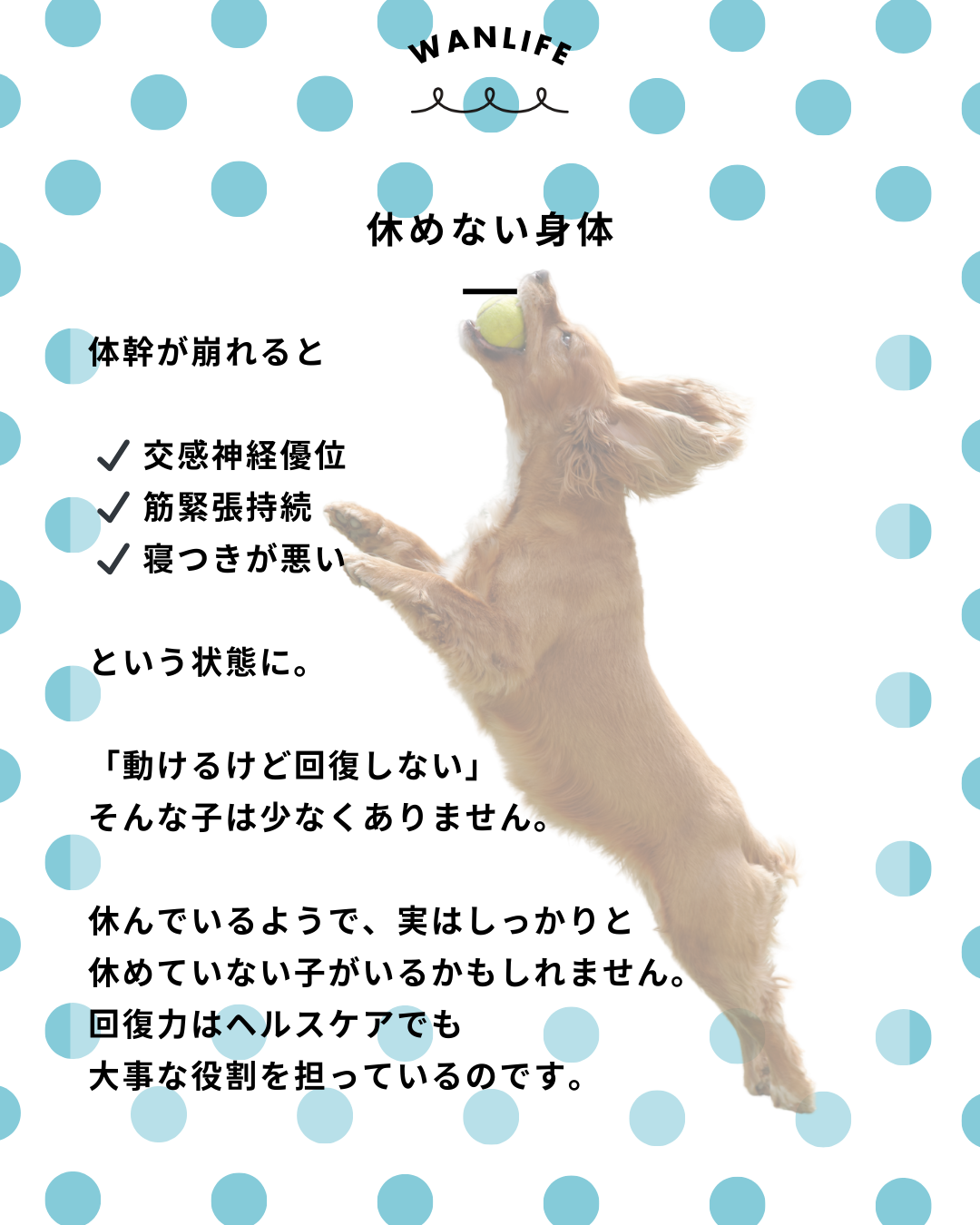 わんわん整体WanLife｜愛知・岐阜の犬の整体・メディセル筋膜リリース・歩けるくん・オベロンアニマルスキャン・ネオヒーラー・温灸・食事療法｜