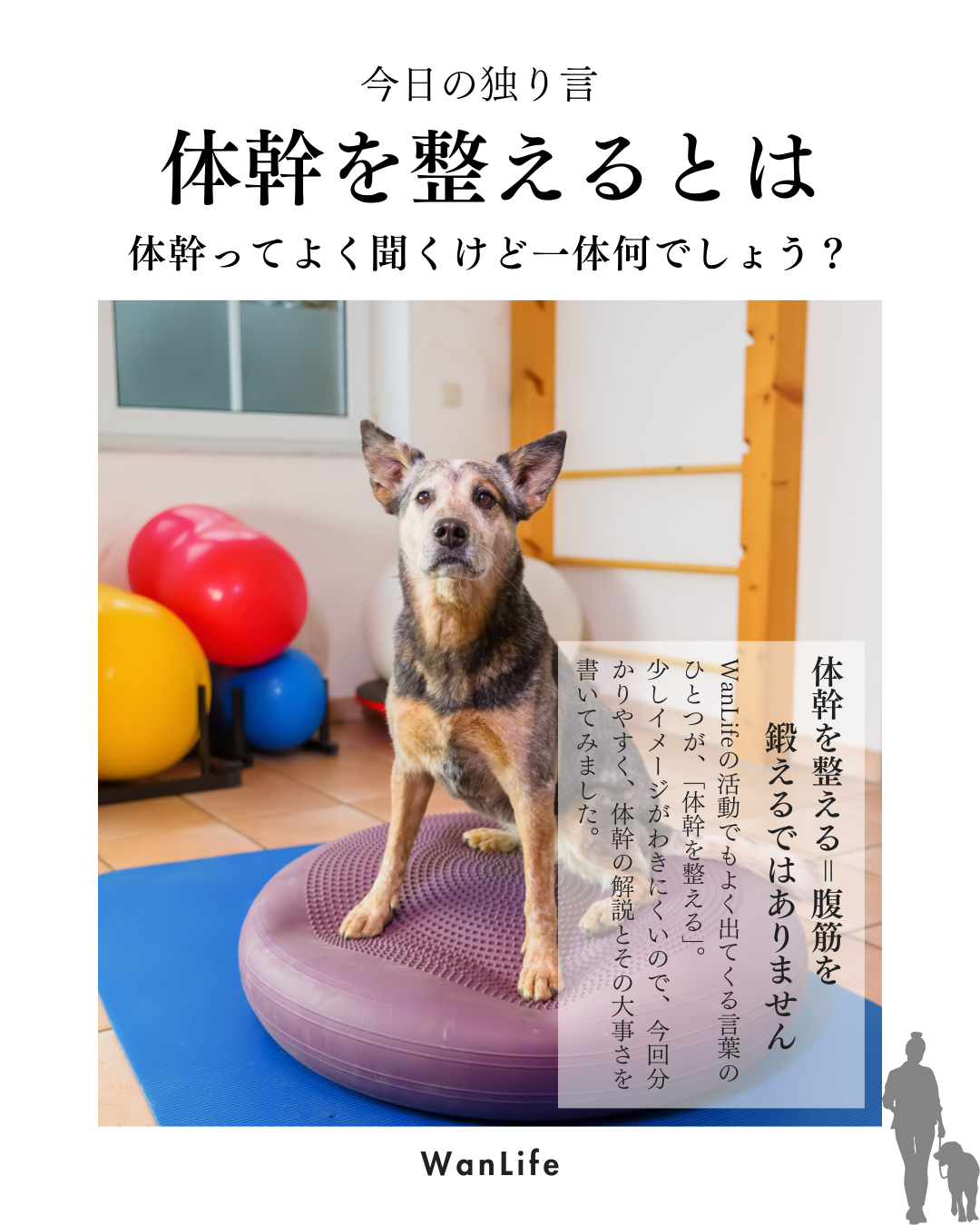 わんわん整体WanLife|愛知・岐阜の犬の整体・メディセル筋膜リリース・歩けるくん・オベロンアニマルスキャン・ネオヒーラー・温灸・食事療法|