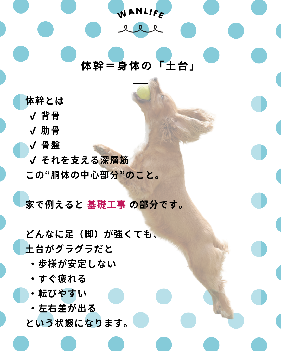 わんわん整体WanLife|愛知・岐阜の犬の整体・メディセル筋膜リリース・歩けるくん・オベロンアニマルスキャン・ネオヒーラー・温灸・食事療法|