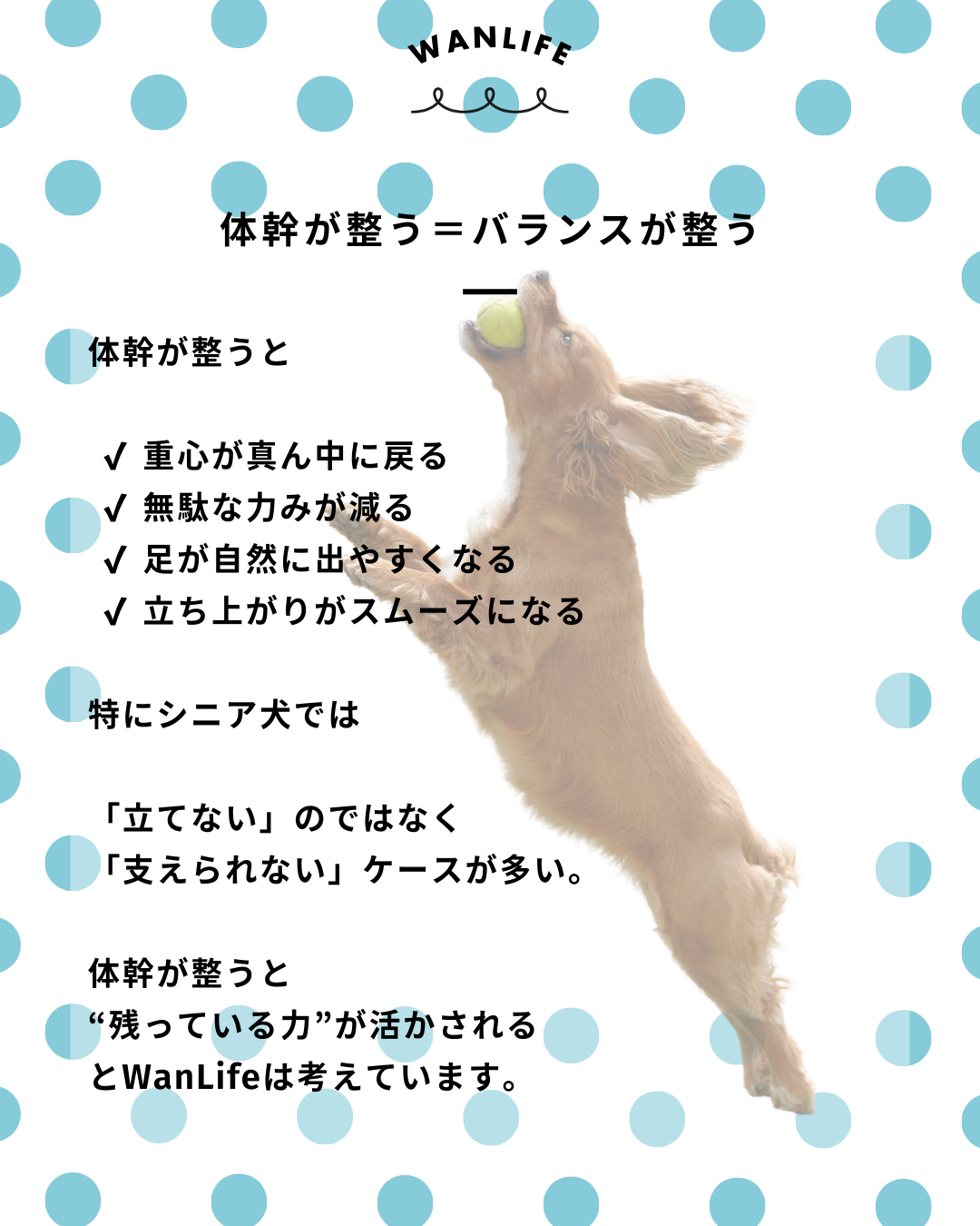 わんわん整体WanLife|愛知・岐阜の犬の整体・メディセル筋膜リリース・歩けるくん・オベロンアニマルスキャン・ネオヒーラー・温灸・食事療法|