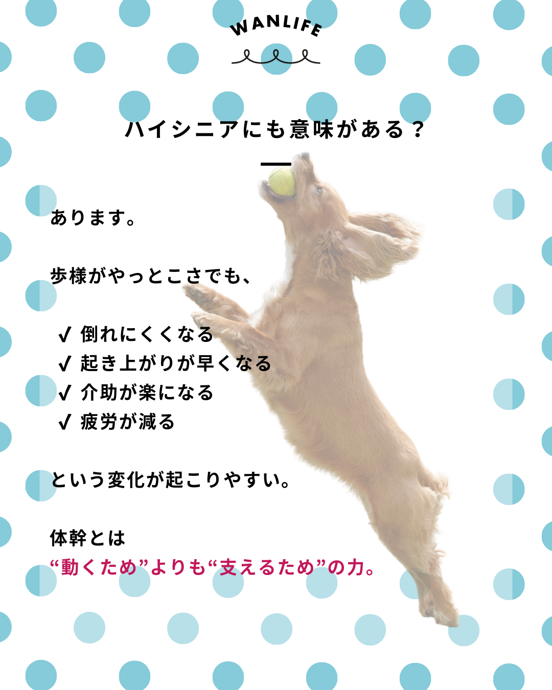 わんわん整体WanLife|愛知・岐阜の犬の整体・メディセル筋膜リリース・歩けるくん・オベロンアニマルスキャン・ネオヒーラー・温灸・食事療法|