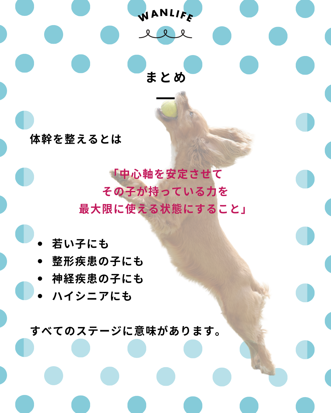 わんわん整体WanLife|愛知・岐阜の犬の整体・メディセル筋膜リリース・歩けるくん・オベロンアニマルスキャン・ネオヒーラー・温灸・食事療法|