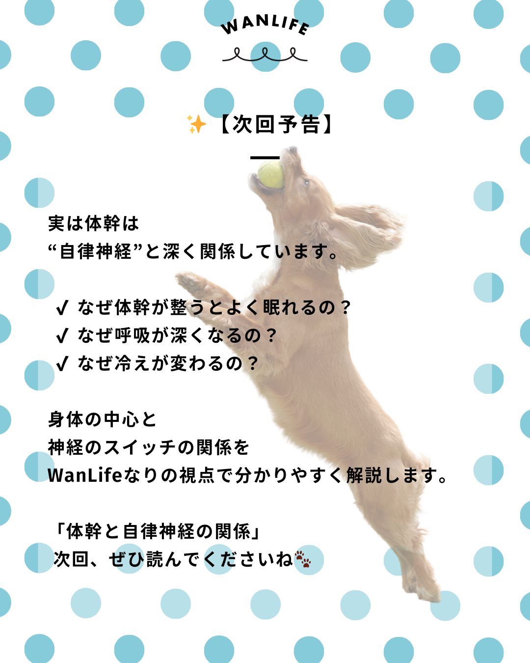 わんわん整体WanLife|愛知・岐阜の犬の整体・メディセル筋膜リリース・歩けるくん・オベロンアニマルスキャン・ネオヒーラー・温灸・食事療法|
