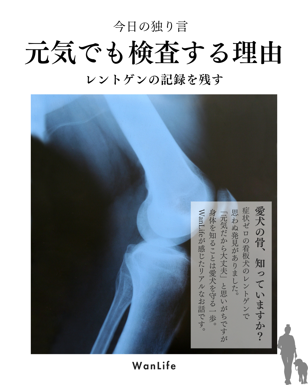 わんわん整体WanLife｜愛知・岐阜の犬の整体・メディセル筋膜リリース・オベロンアニマルスキャン・ネオヒーラー・温灸・食事療法｜