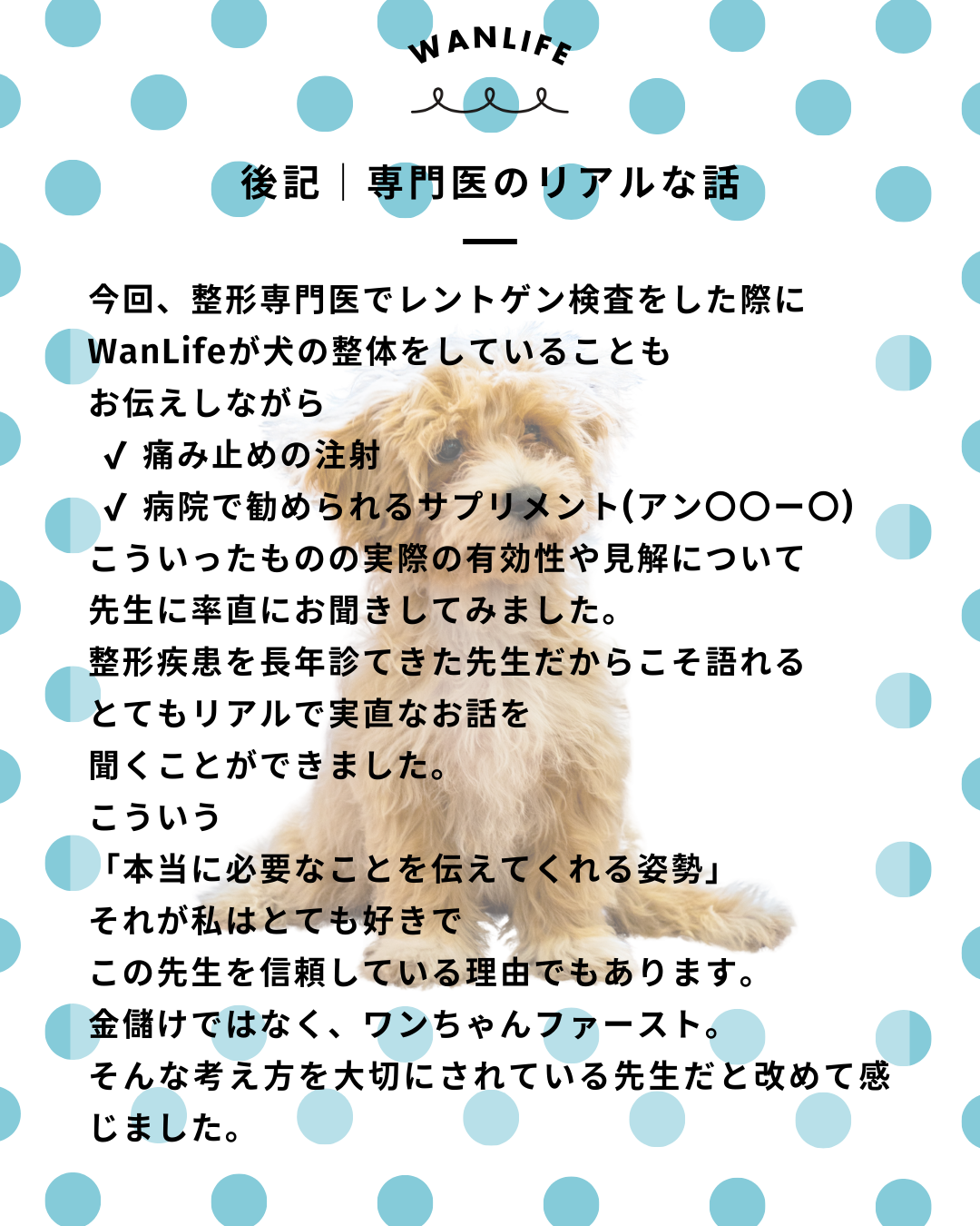 わんわん整体WanLife｜愛知・岐阜の犬の整体・メディセル筋膜リリース・オベロンアニマルスキャン・ネオヒーラー・温灸・食事療法｜