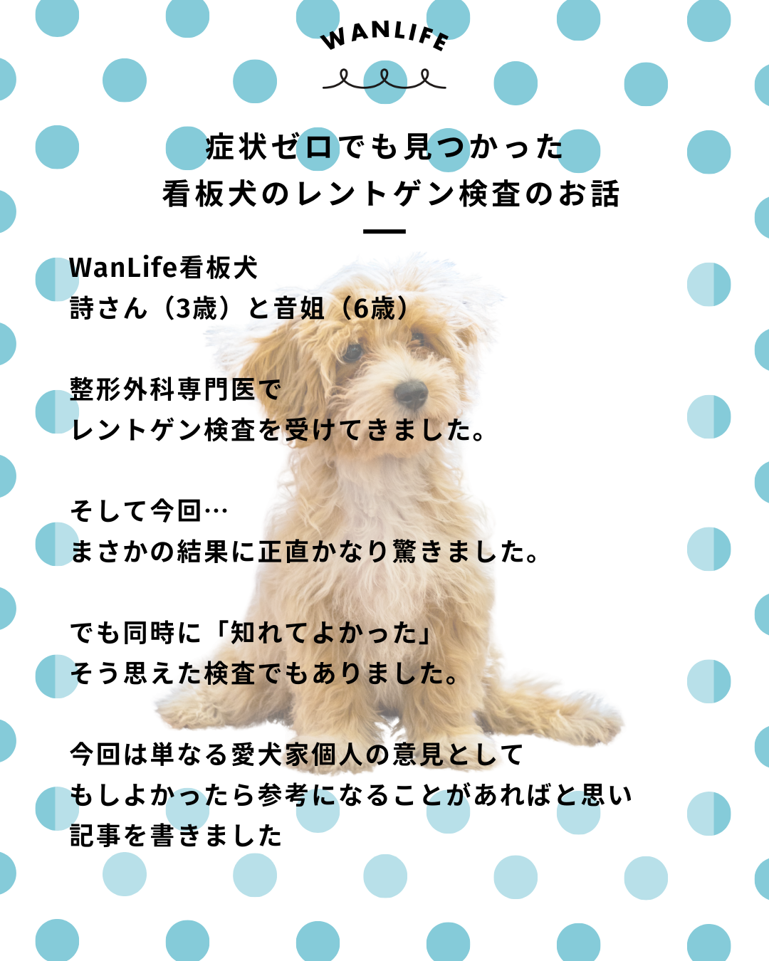 わんわん整体WanLife｜愛知・岐阜の犬の整体・メディセル筋膜リリース・オベロンアニマルスキャン・ネオヒーラー・温灸・食事療法｜