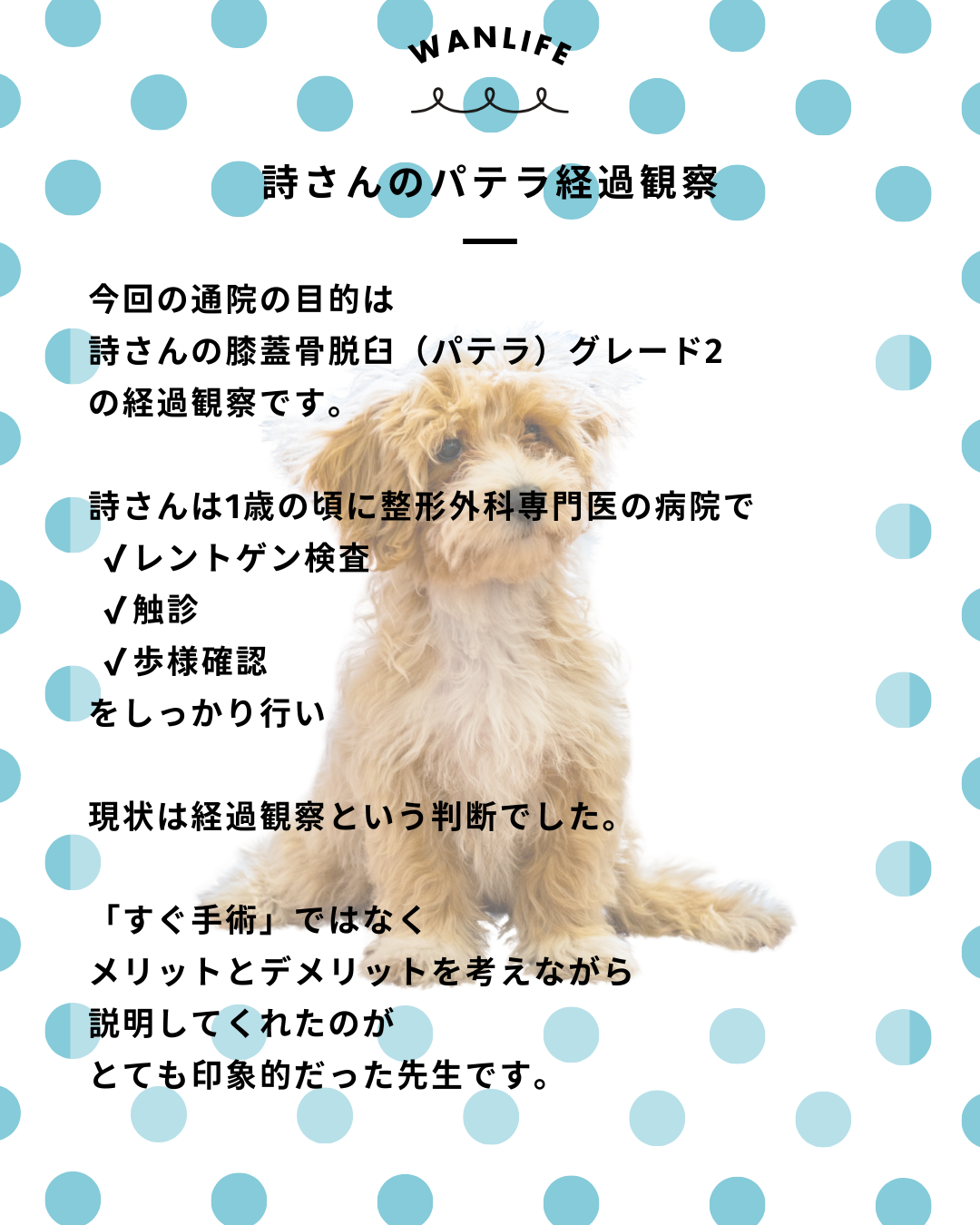 わんわん整体WanLife｜愛知・岐阜の犬の整体・メディセル筋膜リリース・オベロンアニマルスキャン・ネオヒーラー・温灸・食事療法｜