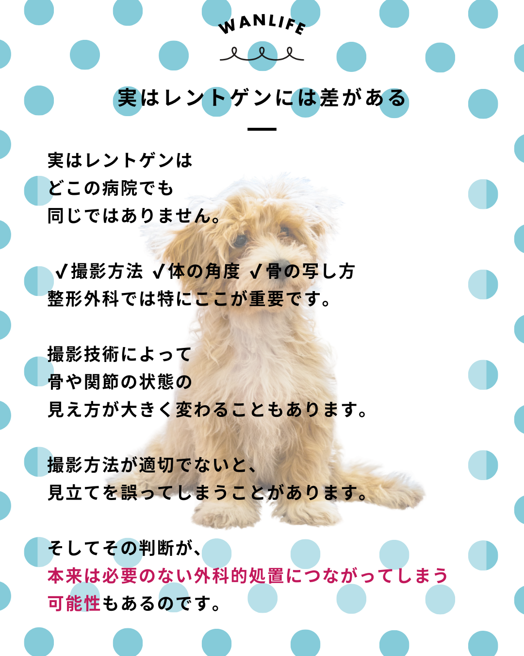 わんわん整体WanLife｜愛知・岐阜の犬の整体・メディセル筋膜リリース・オベロンアニマルスキャン・ネオヒーラー・温灸・食事療法｜