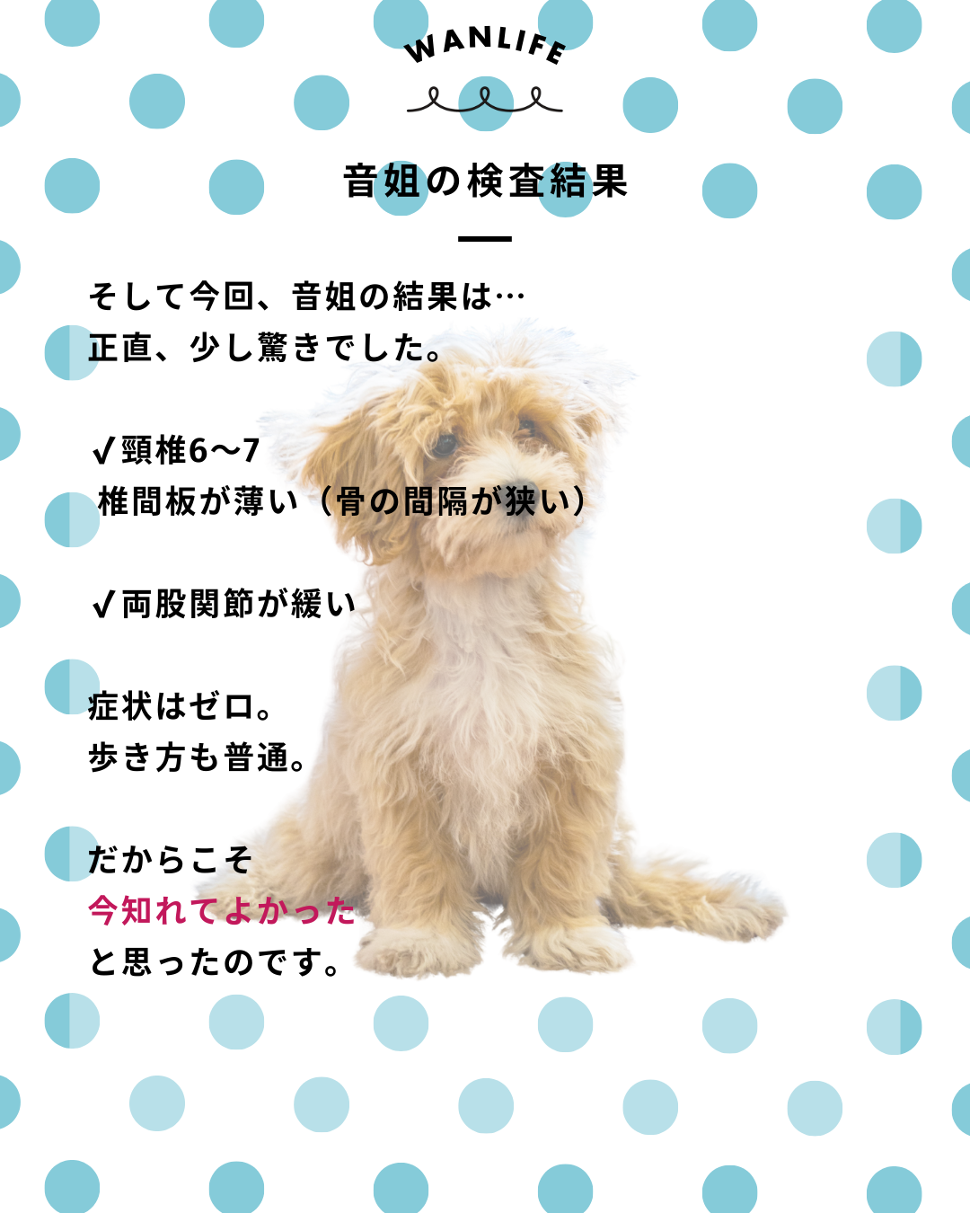 わんわん整体WanLife｜愛知・岐阜の犬の整体・メディセル筋膜リリース・オベロンアニマルスキャン・ネオヒーラー・温灸・食事療法｜