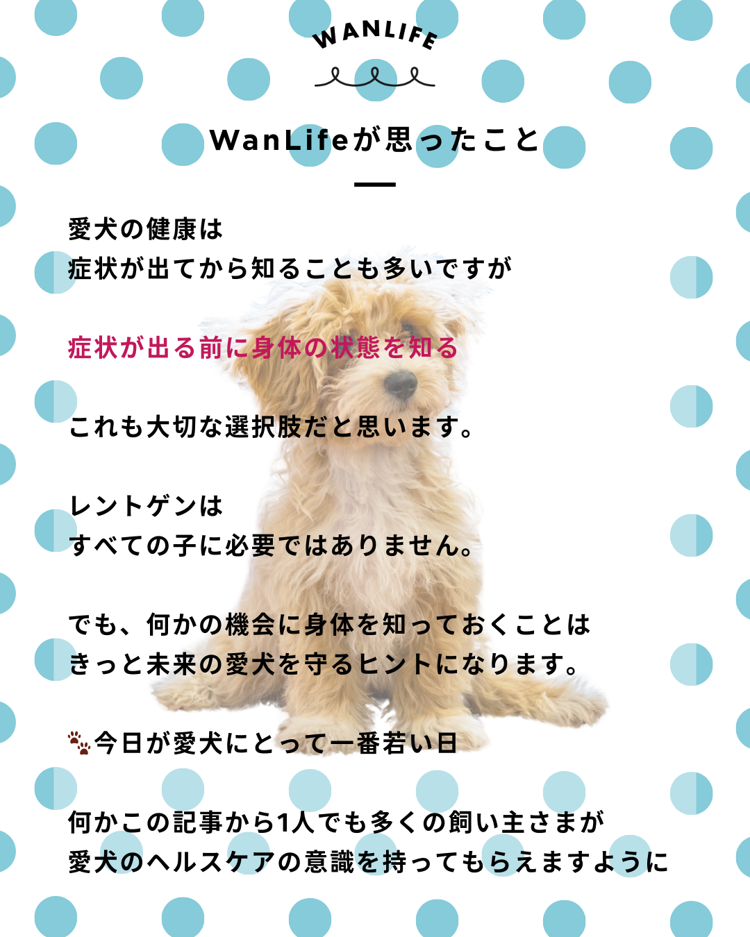 わんわん整体WanLife｜愛知・岐阜の犬の整体・メディセル筋膜リリース・オベロンアニマルスキャン・ネオヒーラー・温灸・食事療法｜