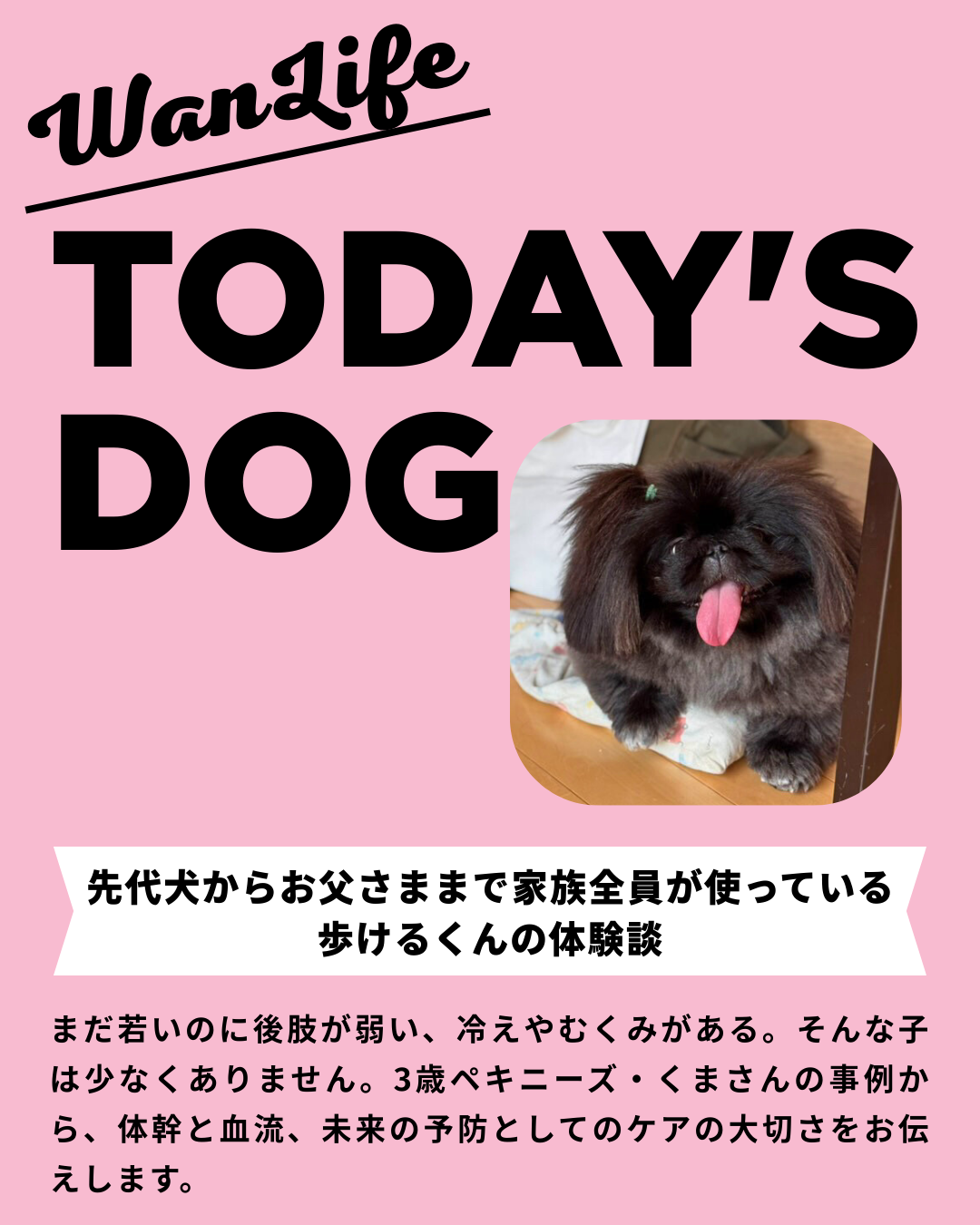 わんわん整体WanLife｜愛知・岐阜の犬の整体・メディセル筋膜リリース・歩けるくん・オベロンアニマルスキャン・ネオヒーラー・温灸・食事療法｜