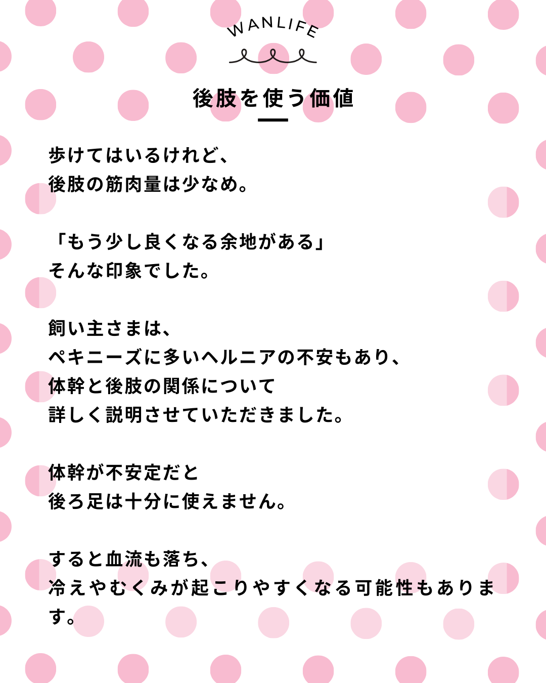 わんわん整体WanLife｜愛知・岐阜の犬の整体・メディセル筋膜リリース・歩けるくん・オベロンアニマルスキャン・ネオヒーラー・温灸・食事療法｜
