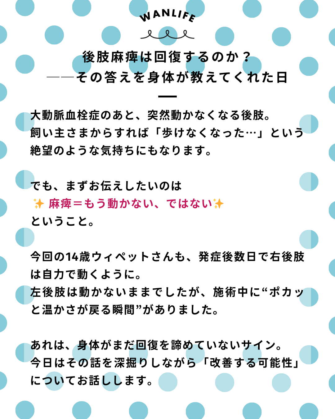 わんわん整体WanLife｜愛知・岐阜の犬の整体・メディセル筋膜リリース・オベロンアニマルスキャン・ネオヒーラー・温灸・食事療法・歩けるくん｜