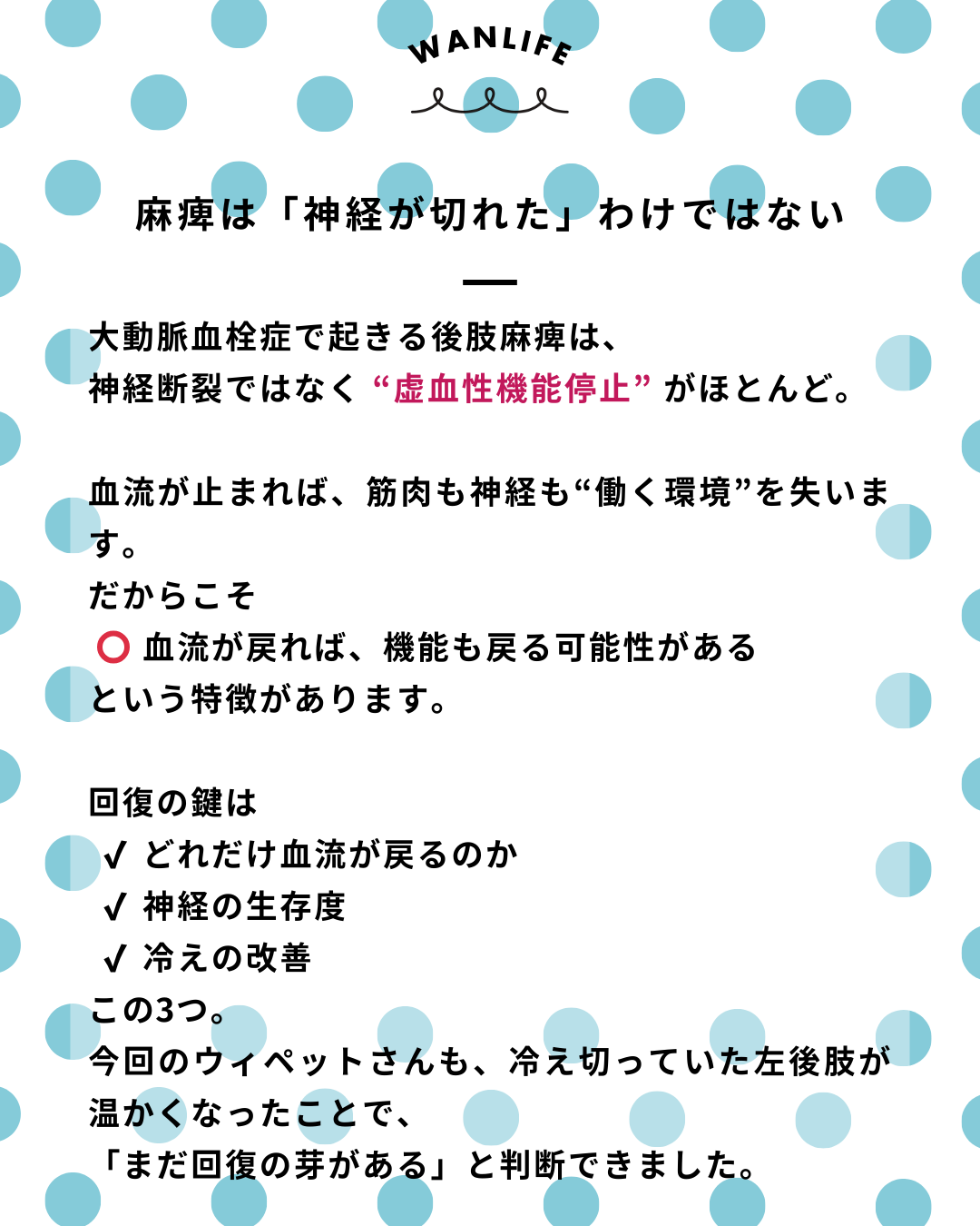 わんわん整体WanLife｜愛知・岐阜の犬の整体・メディセル筋膜リリース・オベロンアニマルスキャン・ネオヒーラー・温灸・食事療法・歩けるくん｜