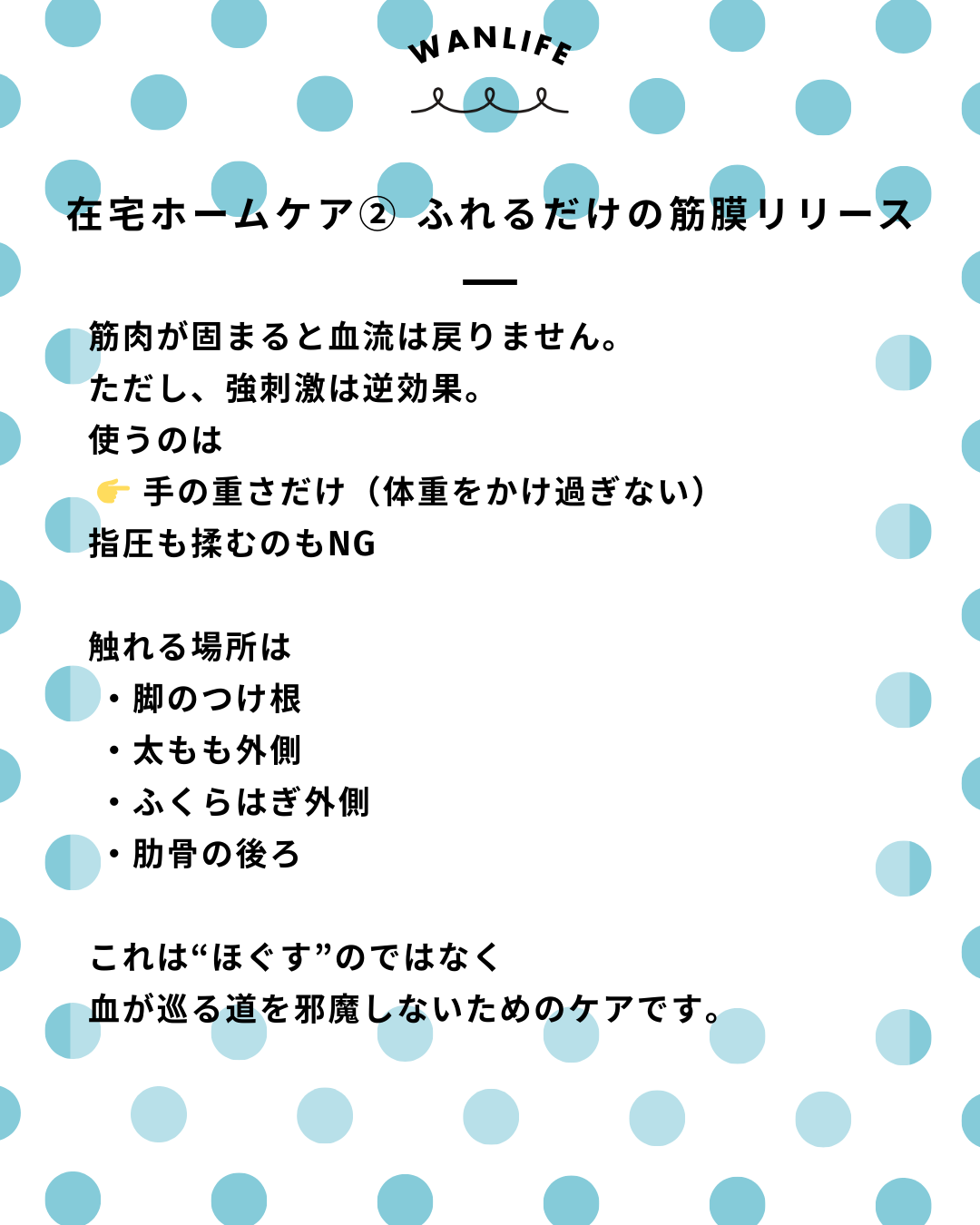 わんわん整体WanLife｜愛知・岐阜の犬の整体・メディセル筋膜リリース・オベロンアニマルスキャン・ネオヒーラー・温灸・食事療法・歩けるくん｜
