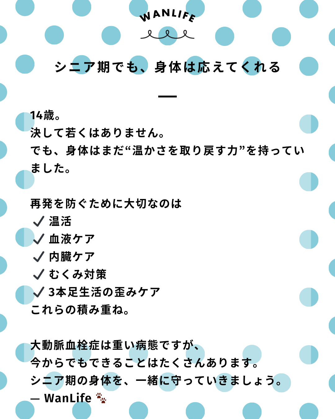 わんわん整体WanLife｜愛知・岐阜の犬の整体・メディセル筋膜リリース・オベロンアニマルスキャン・ネオヒーラー・温灸・食事療法・歩けるくん｜