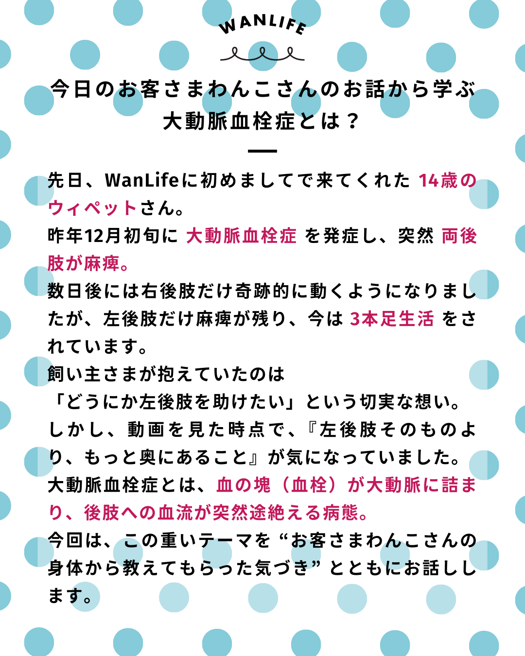 わんわん整体WanLife｜愛知・岐阜の犬の整体・メディセル筋膜リリース・オベロンアニマルスキャン・ネオヒーラー・温灸・食事療法・歩けるくん｜